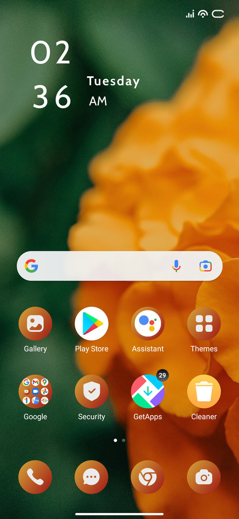 Orange Flower screenshot