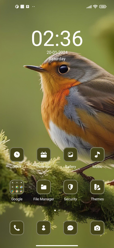 Bird screenshot