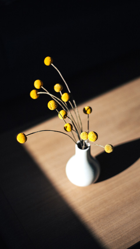Beautiful rounds flowers on the wooden table in white vase screenshot