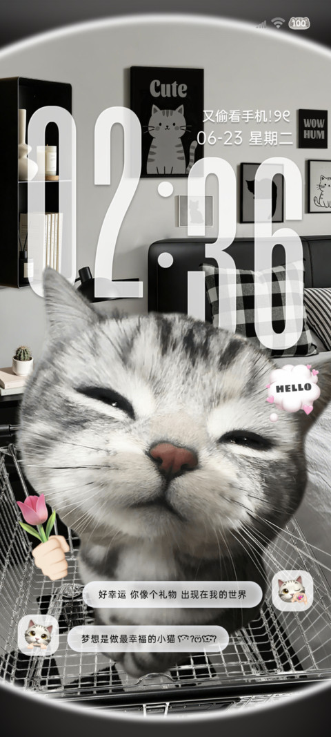 重感鱼眼小猫爱你呦 screenshot