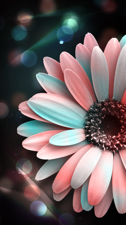 Crystal flower-Desity screenshot