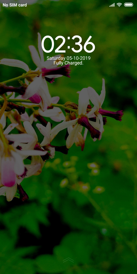 Bunch of flowers_DWM2 screenshot