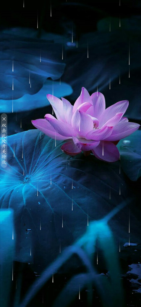 微凉 screenshot