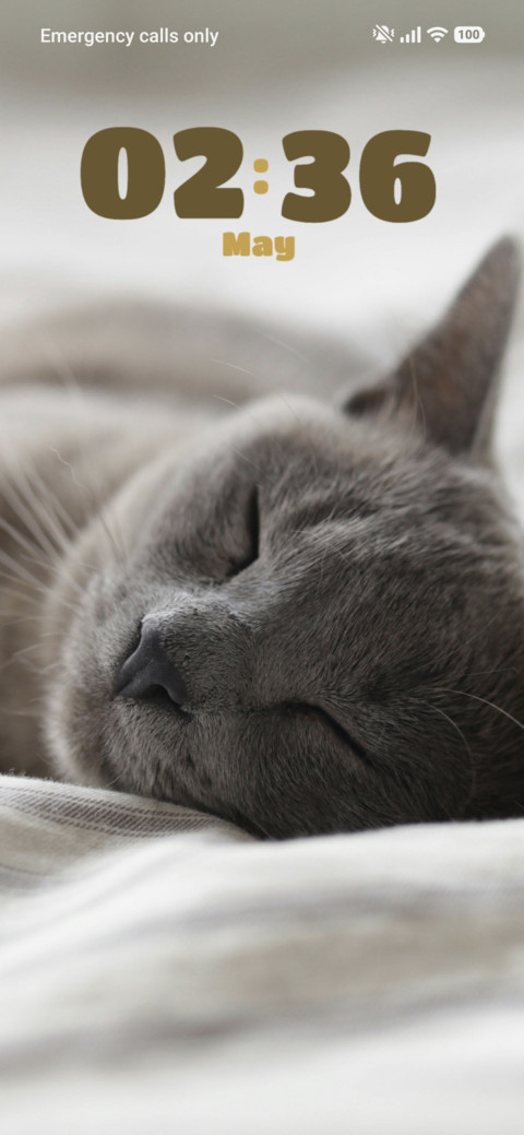 Meowfia screenshot