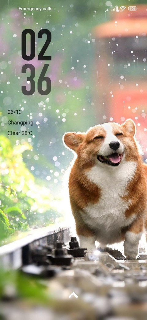 rain dog screenshot