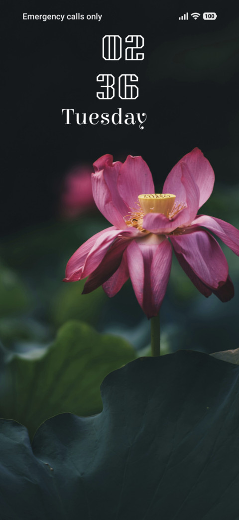 Radiant Lotus screenshot