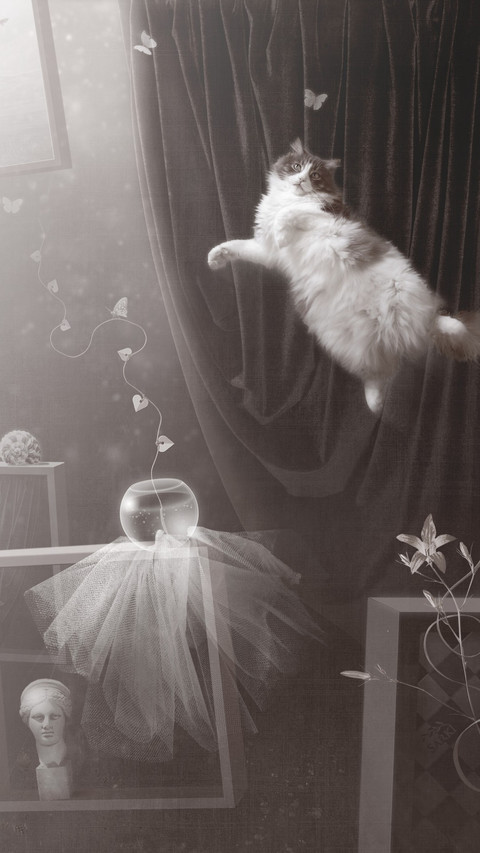 Flight of the March Cat screenshot