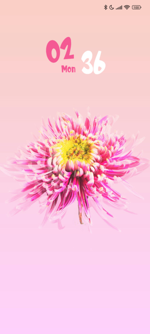 Daisy Petal screenshot