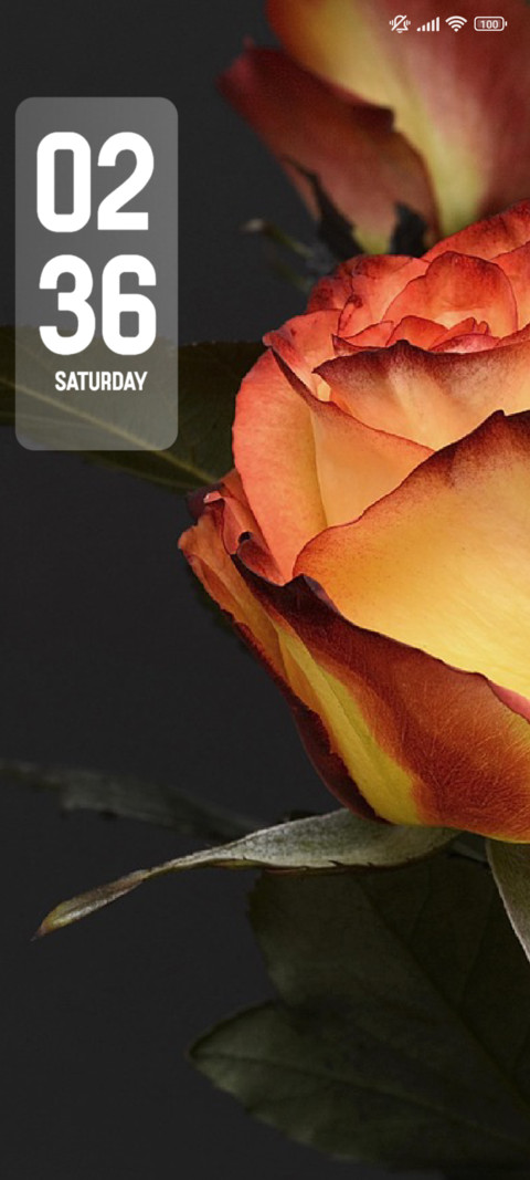 Bouquet screenshot