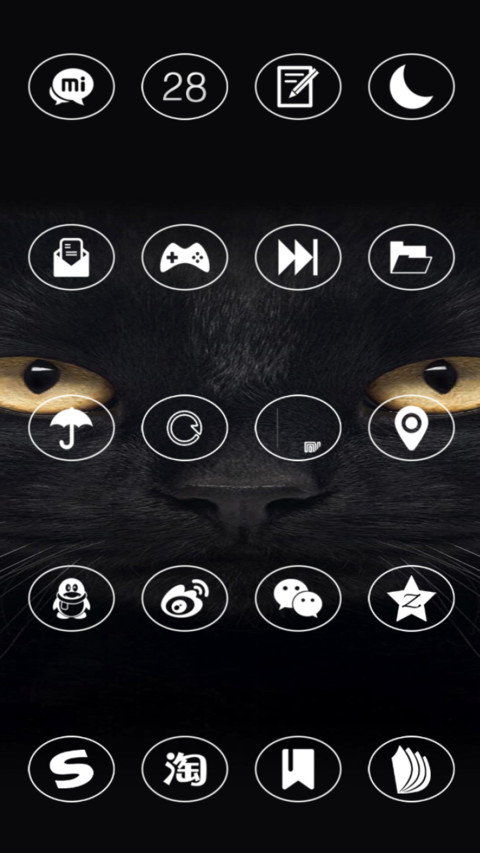 Cat screenshot