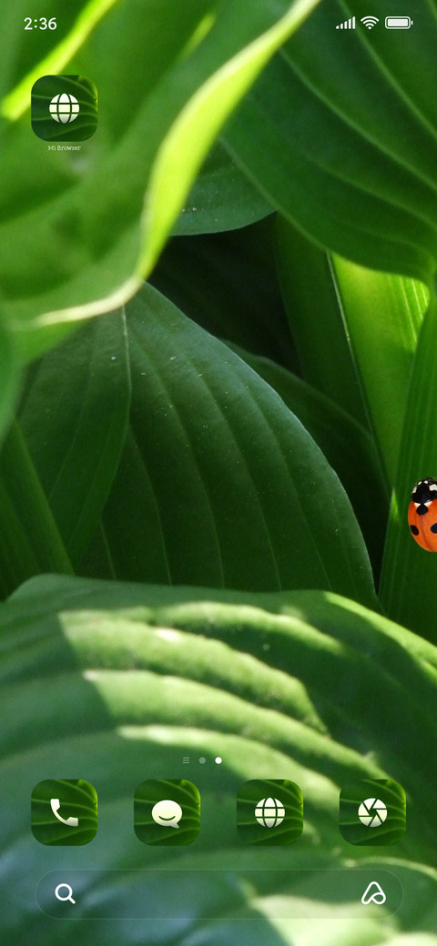 Beetle screenshot