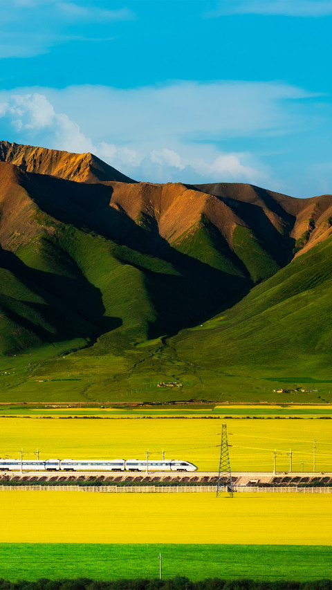 A train in the sea of rape flowers screenshot