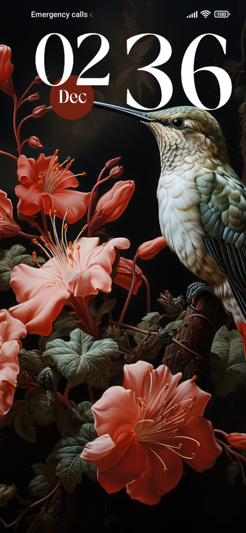 Hummingbird screenshot