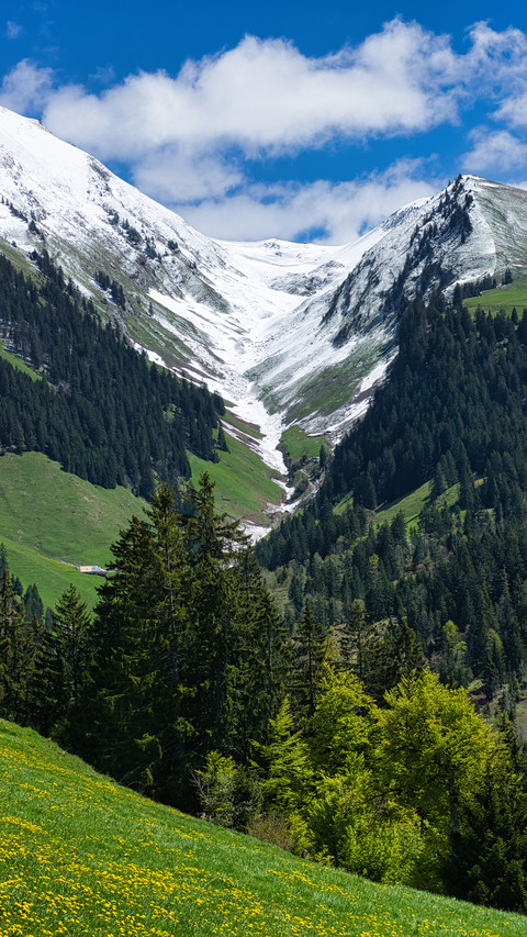 The jain snow mountain in switzerland screenshot
