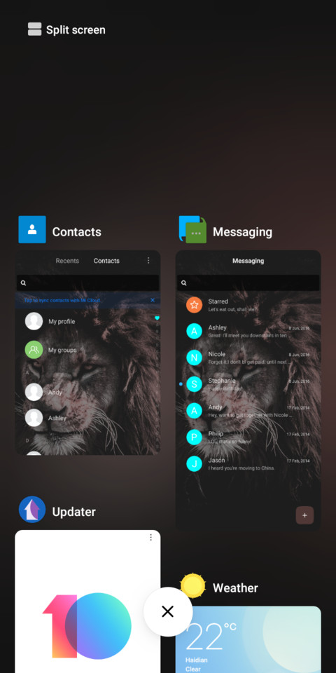 Lion Dark V10 screenshot