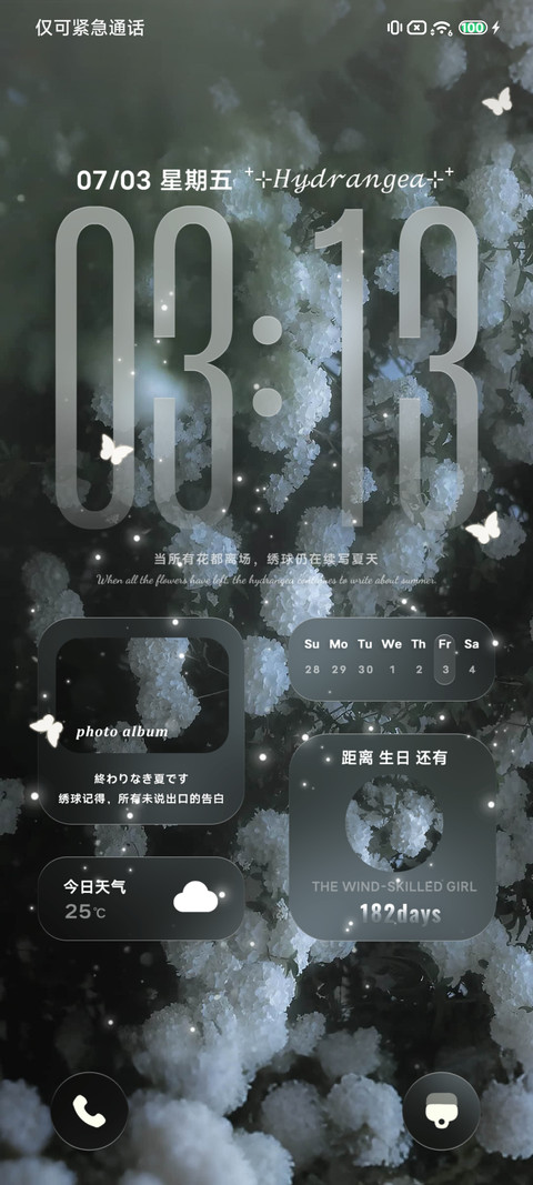 椿夏绣球花 screenshot