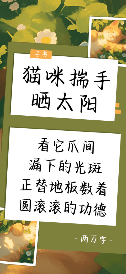 猫咪揣手晒太阳 screenshot