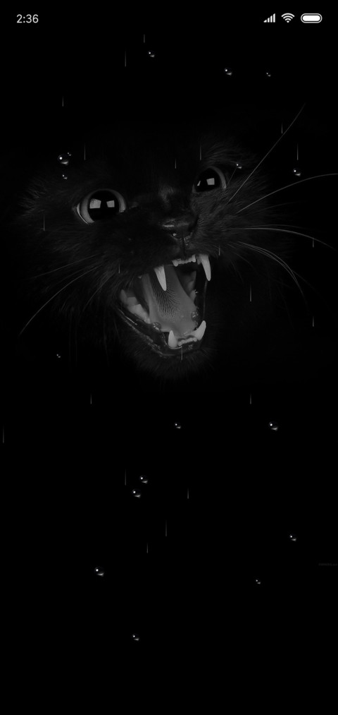 闪烁的猫眼 screenshot