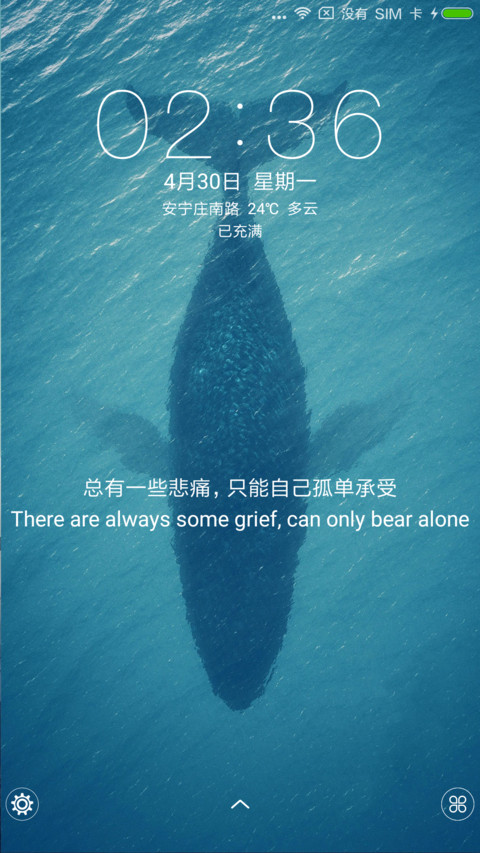 孤单的鲸 screenshot