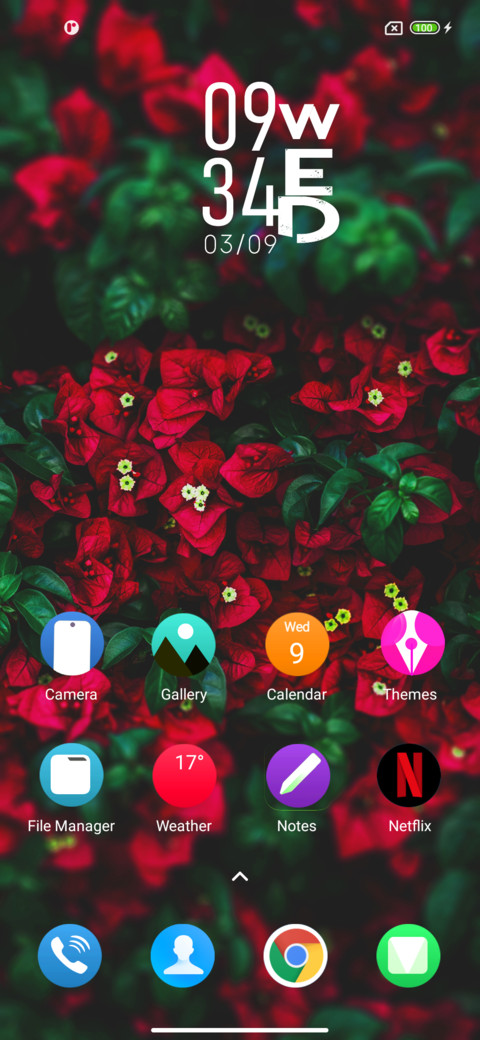 Flowers screenshot