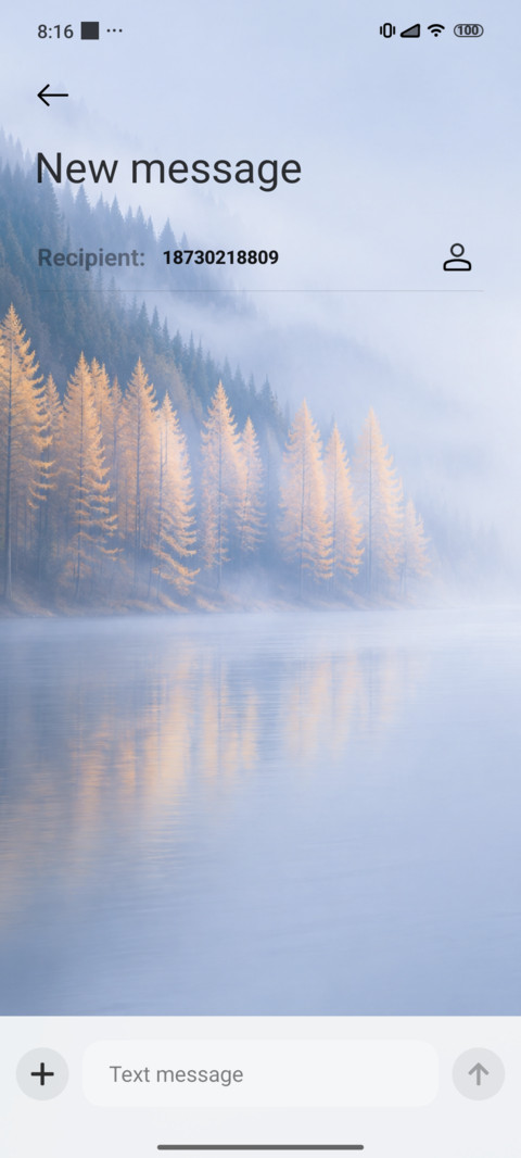 SnowTreeShadow screenshot