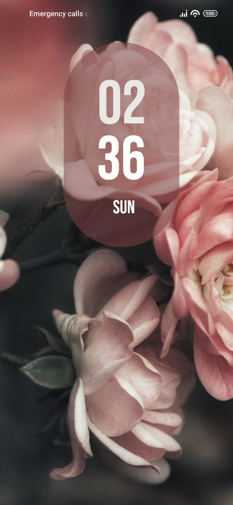 Rosebush screenshot