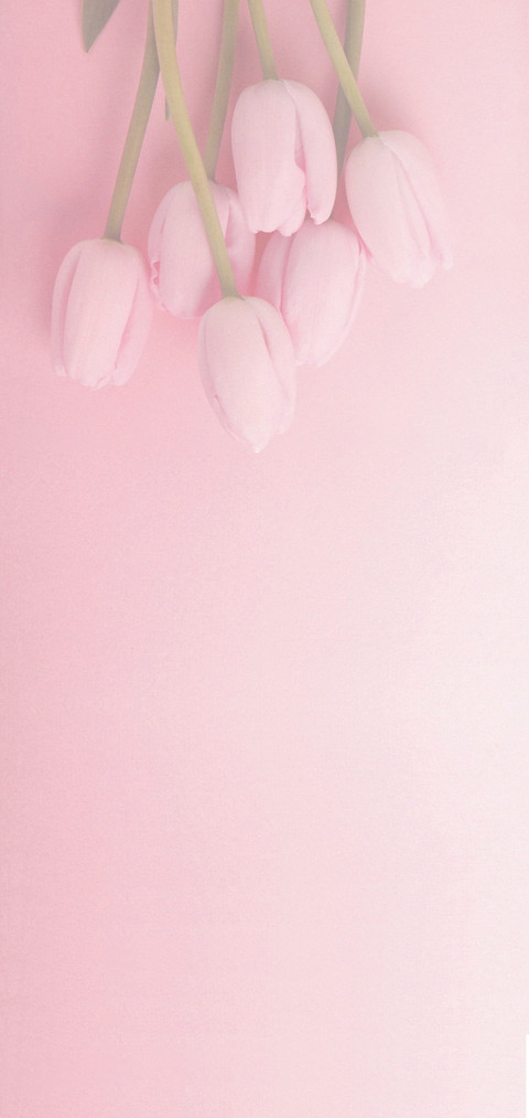 百合花语 screenshot