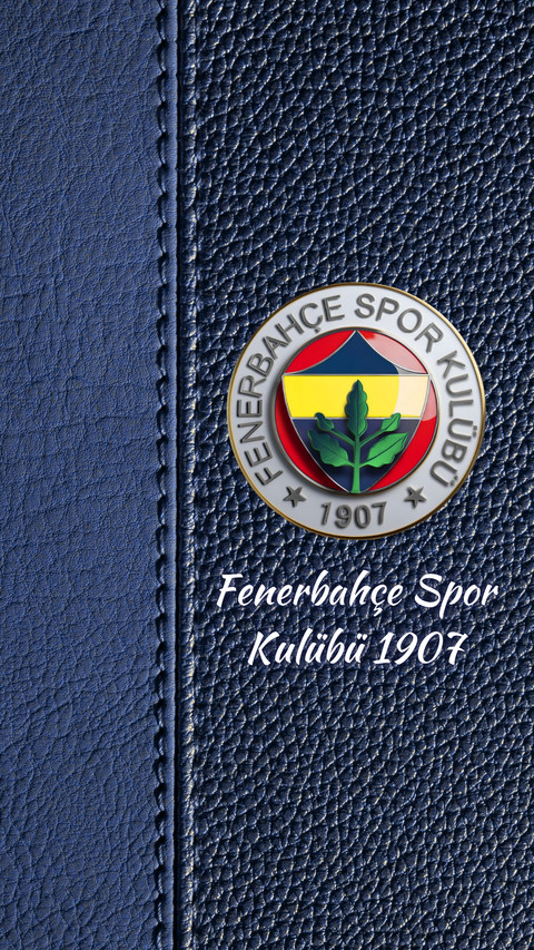 FB FENERBAHCE SPOR 1907 screenshot