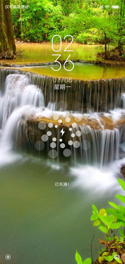 从林野外 screenshot