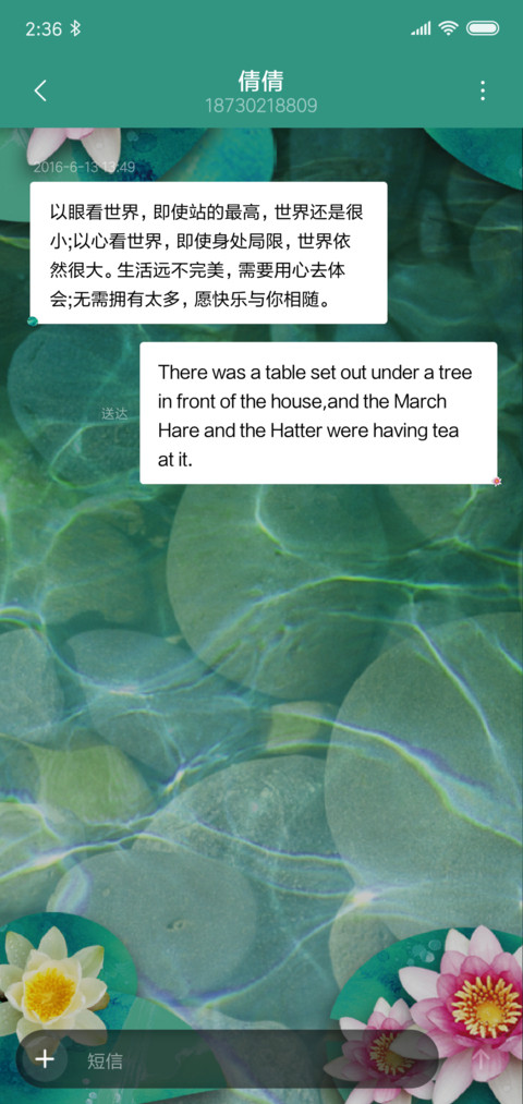 夏日锦鲤 screenshot
