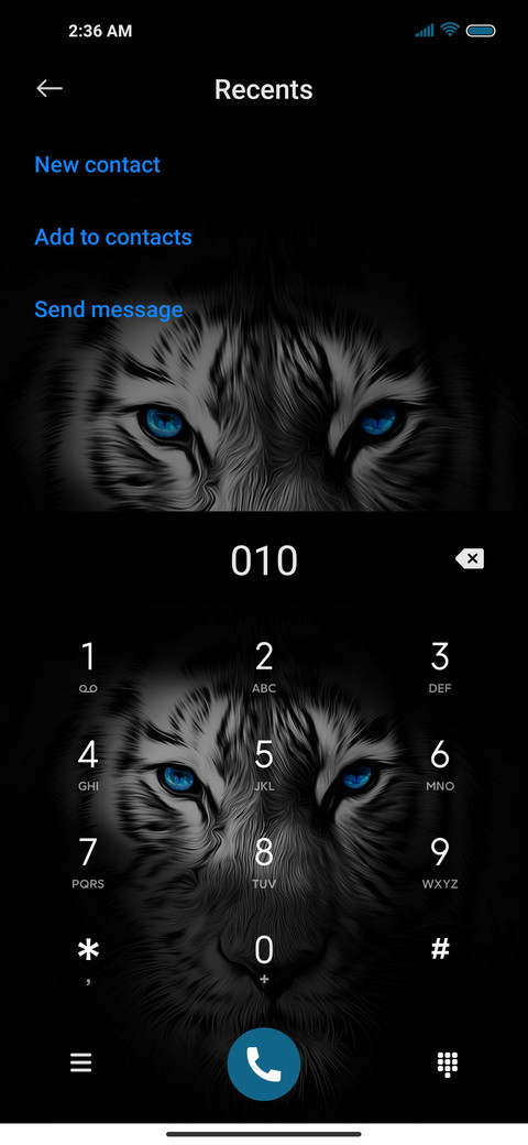 Night tiger screenshot