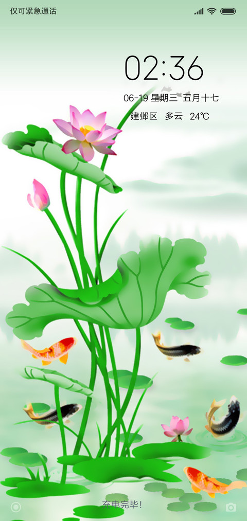 鱼戏新荷 screenshot