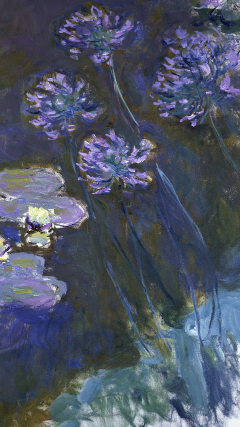 莫奈的250张睡莲 screenshot
