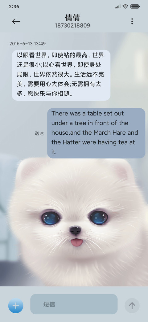 居家小白狗 screenshot