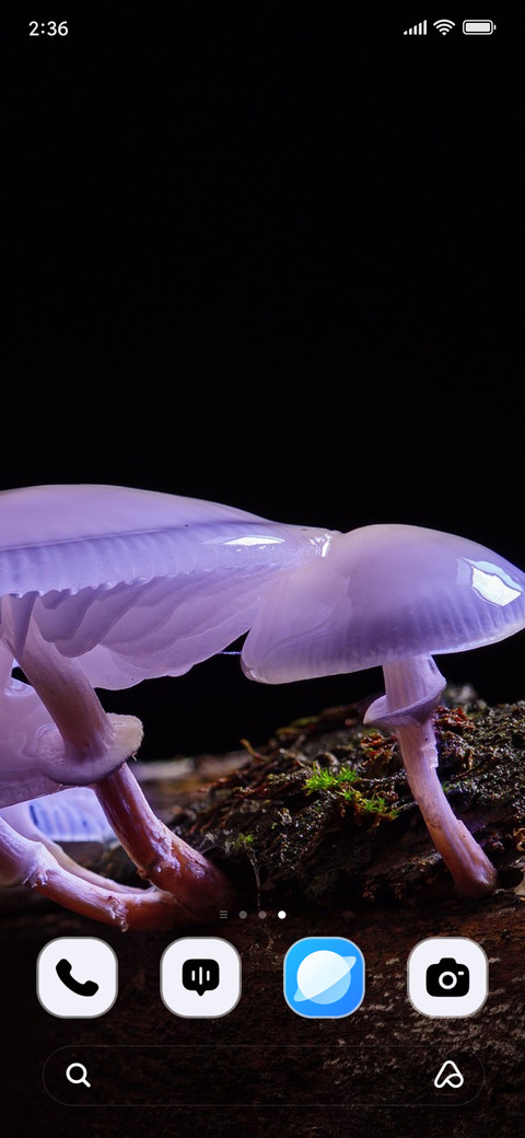 Mushroom Root screenshot