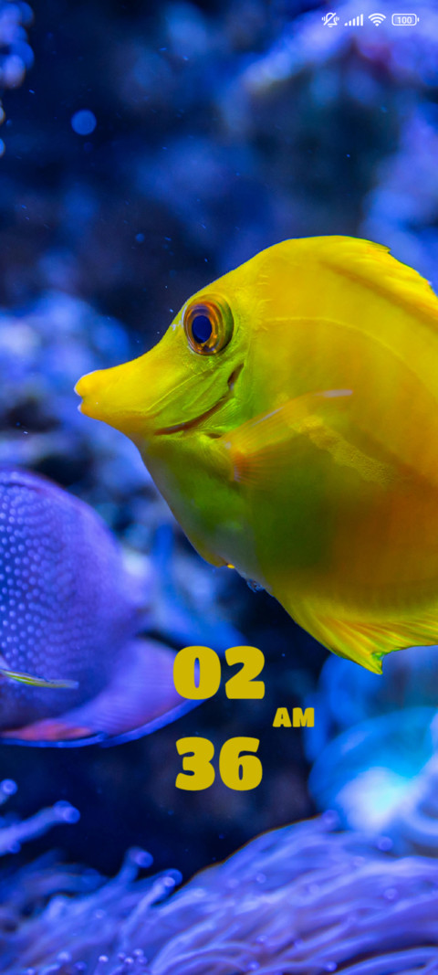 Fish screenshot