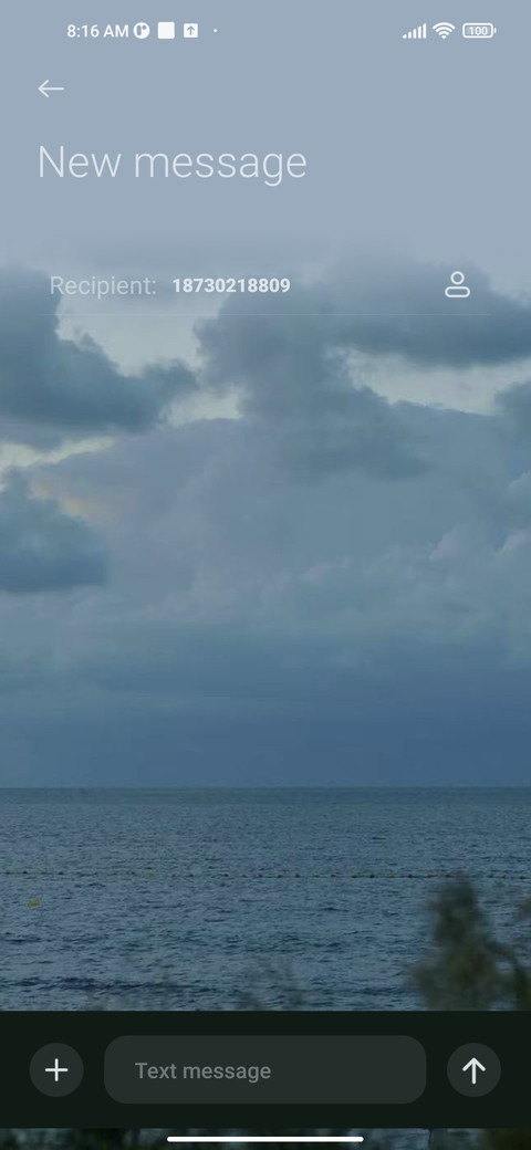 That lonely island screenshot