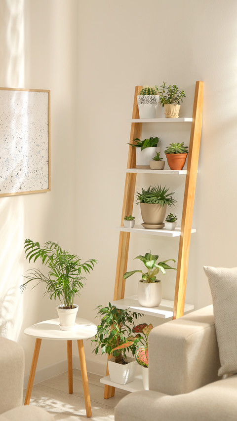 Decorative Wooden Ladder in Stylish Living Room Interior screenshot