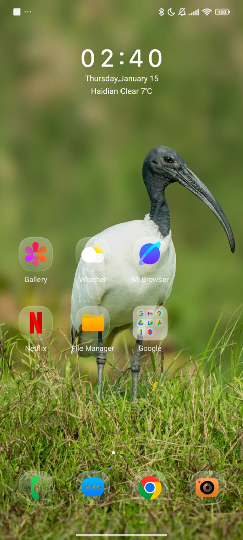 AJ Birds screenshot
