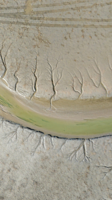 The natural wonder of the ebbing tide of the Qiantang River screenshot