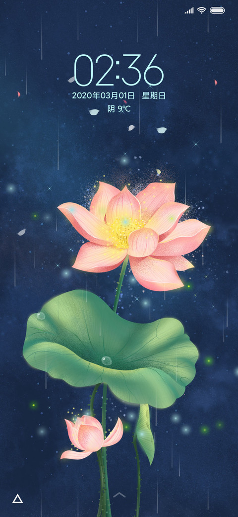 唯美夜韵荷花 screenshot