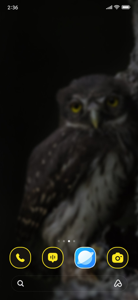 Angry Owl screenshot