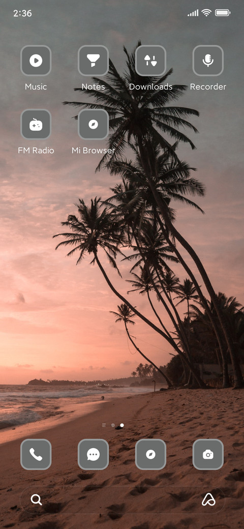 Cocunut Tree screenshot