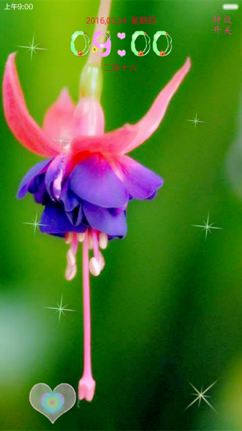 紫色 花豆 screenshot