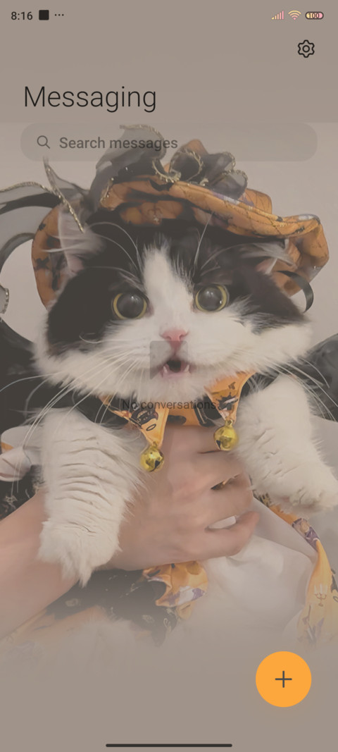 Cute Halloween cat screenshot