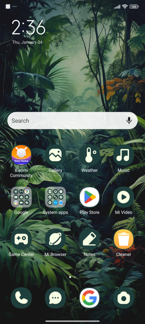 rainforest toucan screenshot