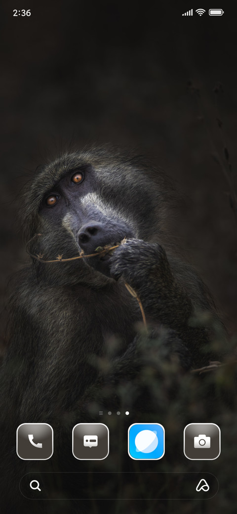 Capuchin screenshot