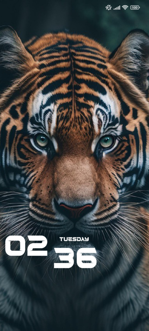 Tiger screenshot
