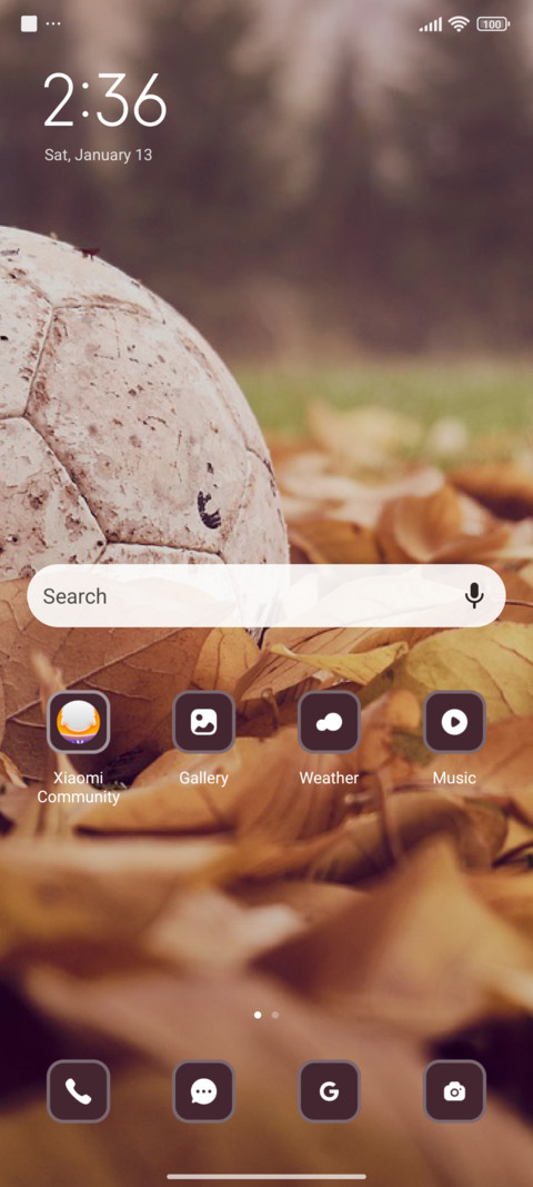 Football screenshot