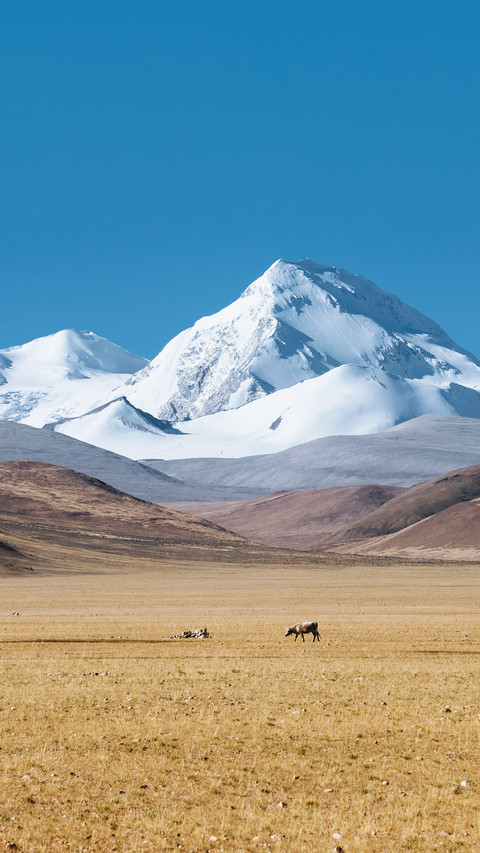 Power facilities in Tibet's highland landscape screenshot